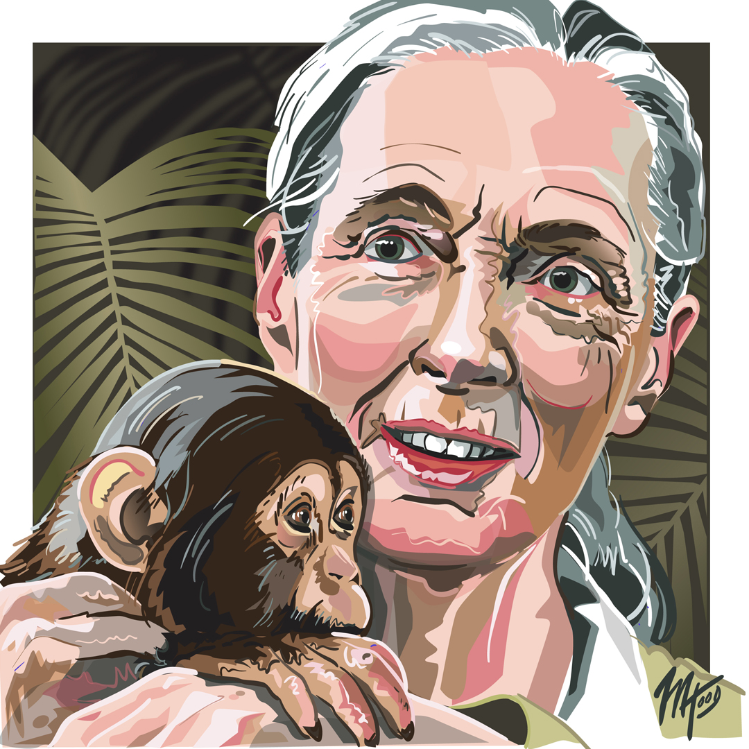 Portrait of Jane Goodall by Matt Hood, Graphics Without Borders